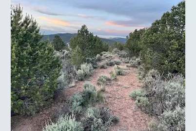 7386 Platten Road, Fort Garland, CO 81133 - Photo 7