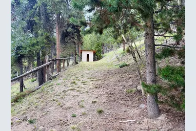 66 Lodgepole Circle, Evergreen, CO 80439 - Photo 49