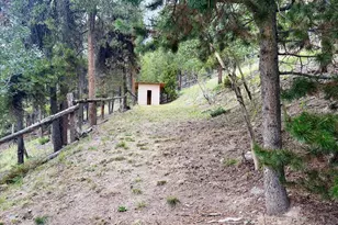 66 Lodgepole Cir, Evergreen, CO 80439 - Photo 49