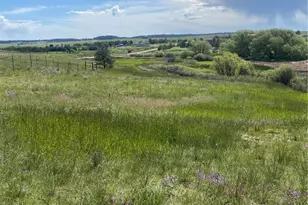 13435 Hodgen Rd, Elbert, CO 80106 - Photo 21