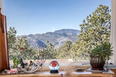 201 Lake Drive, Florissant, CO 80816 - Photo 9