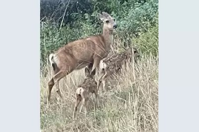 6941 Fargo Trail, Littleton, CO 80125 - Photo 3
