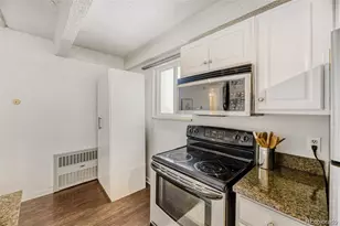 1265 Race St, Denver, CO 80206 - Photo 9