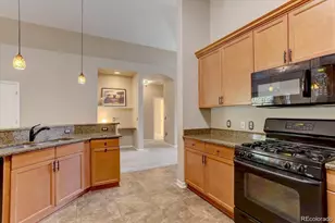 8558 Gold Peak Ln, Highlands Ranch, CO 80130 - Photo 11