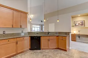 8558 Gold Peak Ln, Highlands Ranch, CO 80130 - Photo 13