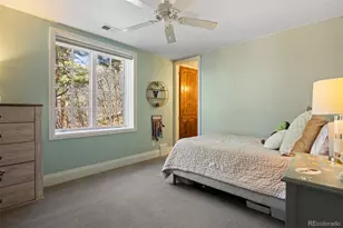 674 Red Pass Ln, Castle Rock, CO 80108 - Photo 41