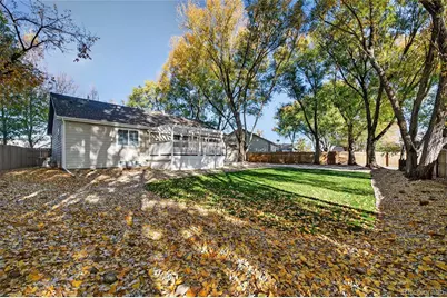 354 Amber Drive, Windsor, CO 80550 - Photo 25