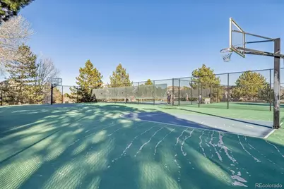 7387 Norfolk Place, Castle Pines, CO 80108 - Photo 29