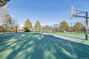 7387 Norfolk Pl, Castle Pines, CO 80108 - Photo 29