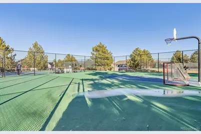 7387 Norfolk Place, Castle Pines, CO 80108 - Photo 31