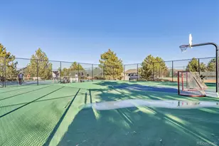 7387 Norfolk Pl, Castle Pines, CO 80108 - Photo 31