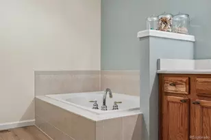 7387 Norfolk Pl, Castle Pines, CO 80108 - Photo 25