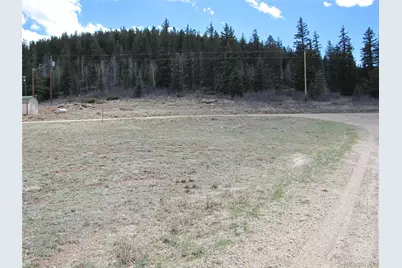 122 Coach Lane, Hartsel, CO 80449 - Photo 3