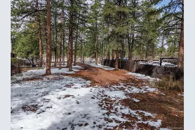 9231 Curtis Road, Larkspur, CO 80118 - Photo 9