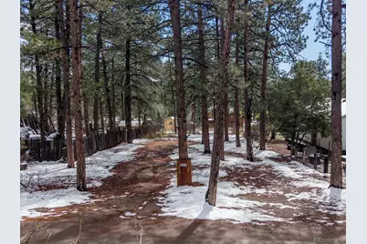 9231 Curtis Road, Larkspur, CO 80118 - Photo 7