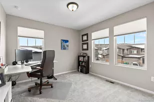 138 Lullaby Ln, Castle Rock, CO 80109 - Photo 29