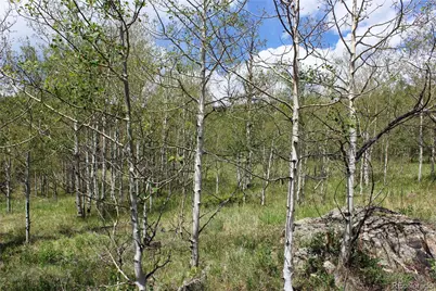 00 Quartz Hill Road, Central City, CO 80427 - Photo 13
