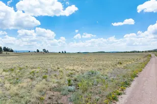 74 Wrights Ln, Guffey, CO 80820 - Photo 1