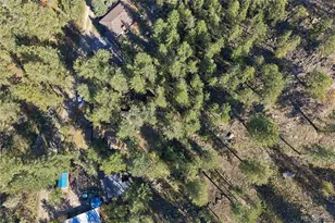 204 Waltonia Rd, Drake, CO 80515 - Photo 43