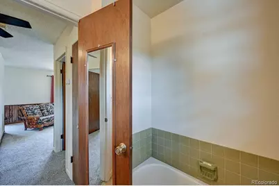 15245 Cr 353, Buena Vista, CO 81211 - Photo 41