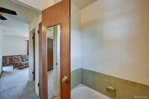 15245 Cr 353, Buena Vista, CO 81211 - Photo 41