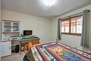 15245 Cr 353, Buena Vista, CO 81211 - Photo 9