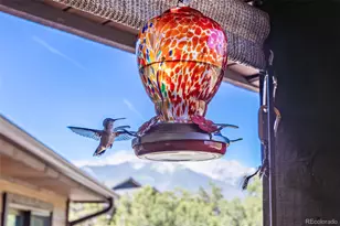 14978 Mary Murphy Dr, Nathrop, CO 81236 - Photo 5