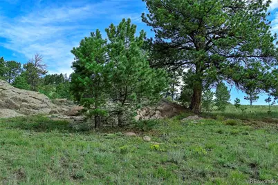 32 Peak Drive, Guffey, CO 80820 - Photo 41