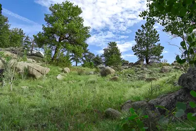 32 Peak Drive, Guffey, CO 80820 - Photo 35