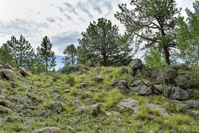 32 Peak Drive, Guffey, CO 80820 - Photo 33