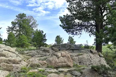 32 Peak Drive, Guffey, CO 80820 - Photo 3