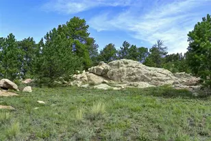 32 Peak Dr, Guffey, CO 80820 - Photo 1