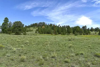 32 Peak Drive, Guffey, CO 80820 - Photo 11