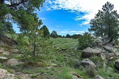 32 Peak Drive, Guffey, CO 80820 - Photo 31
