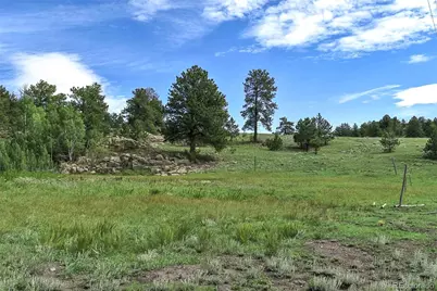 32 Peak Drive, Guffey, CO 80820 - Photo 37