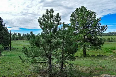 32 Peak Drive, Guffey, CO 80820 - Photo 43