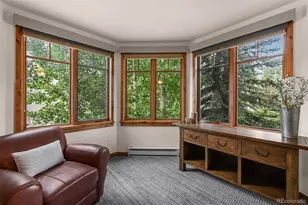 1101 9000 Divide Road, Frisco, CO 80443 - Photo 17