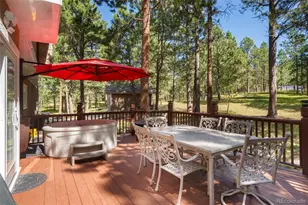 17075 Viscount Ct, Monument, CO 80132 - Photo 47