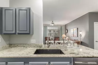 457 Black Feather Loop #702, Castle Rock, CO 80104 - Photo 15