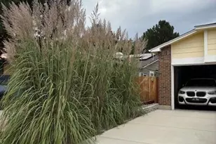 5069 W 62nd Ave, Arvada, CO 80003 - Photo 3