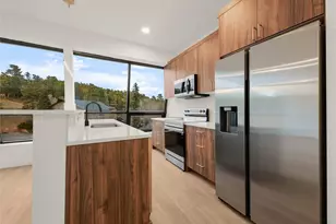 27972 Meadow Dr, Evergreen, CO 80439 - Photo 9