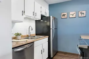 206 E Meadow Mile, Fraser, CO 80442 - Photo 13