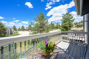 206 E Meadow Mile, Fraser, CO 80442 - Photo 23