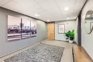 1050 N Corona Street, Denver, CO 80218 - Photo 21