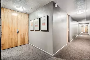 1050 N Corona Street, Denver, CO 80218 - Photo 25