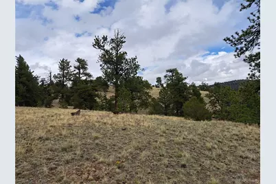 783 Remuda, Hartsel, CO 80449 - Photo 7