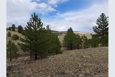 783 Remuda, Hartsel, CO 80449 - Photo 19