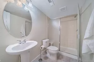 16533 Red Brush Pl, Parker, CO 80134 - Photo 37