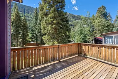 290 Main Street, Silver Plume, CO 80476 - Photo 29