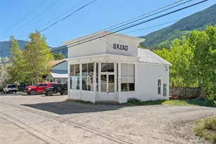 290 Main St, Silver Plume, CO 80476 - Photo 35
